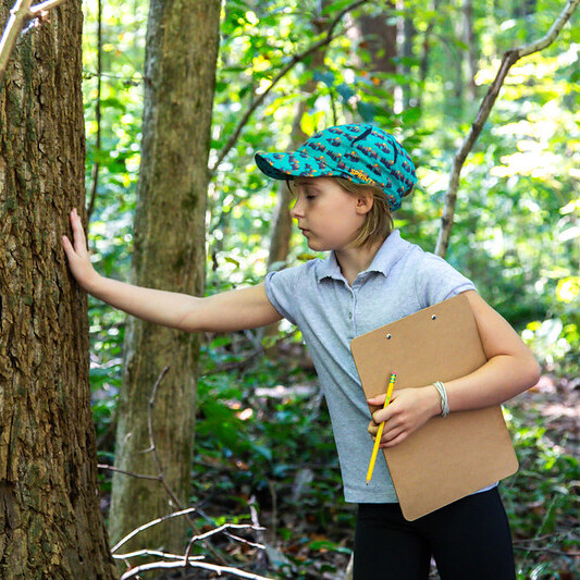 Kids Nature Journaling - logo